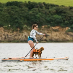 Shark All-round 10'8 X 34" X 5" Paddleboard 2023 -UK Surf Sales 2024 shark sups lifestyle board lifestyle28 3