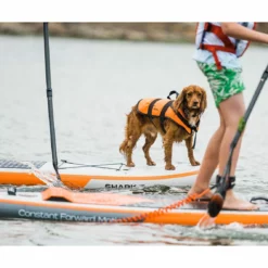 Shark T 11'8 X 30" Paddleboard 2023 29 Shark T 11'8 X 30" Paddleboard 2023 -UK Surf Sales 2024 shark sups lifestyle board lifestyle32 9