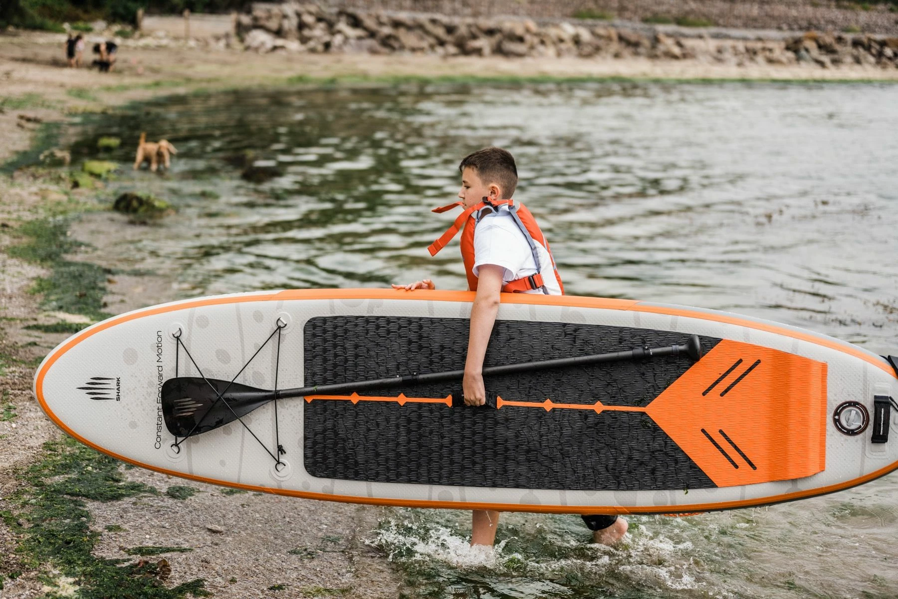 Shark All-round Kids 9'6 X 27" Paddleboard 2023 14 Shark All-round Kids 9'6 X 27" Paddleboard 2023 - Image 12